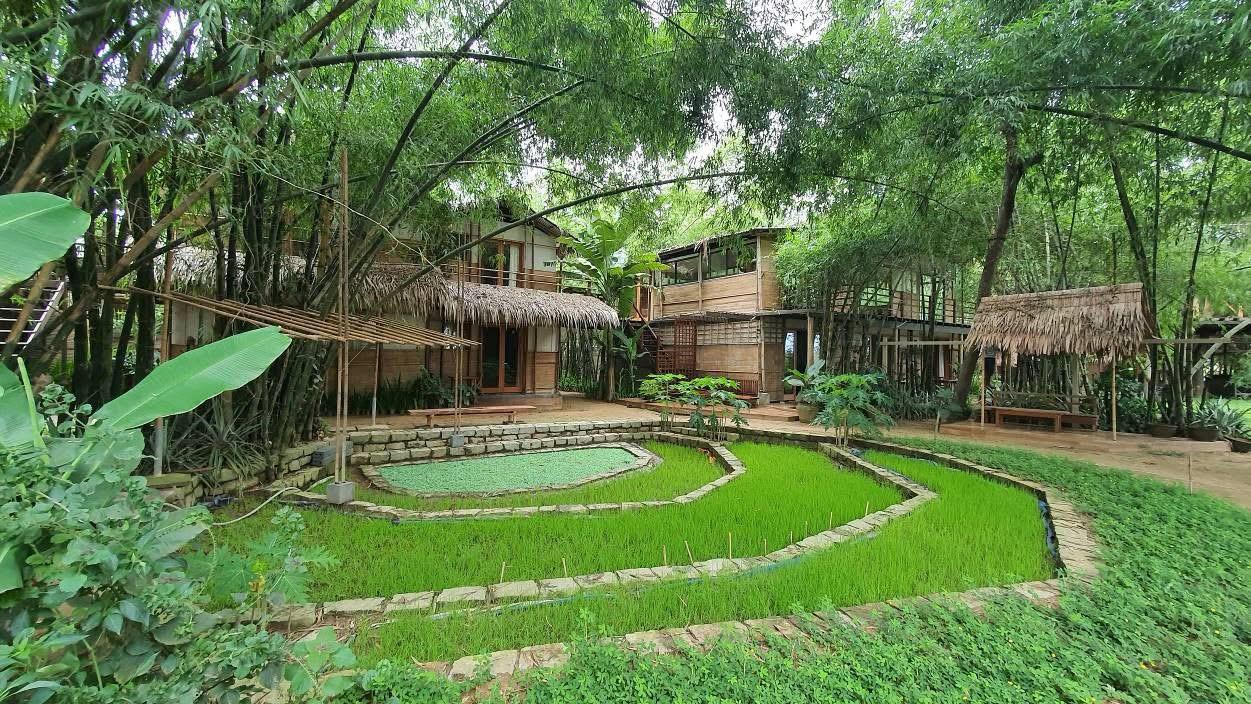 The restored Thu Bồn riverbank at Triêm Tây