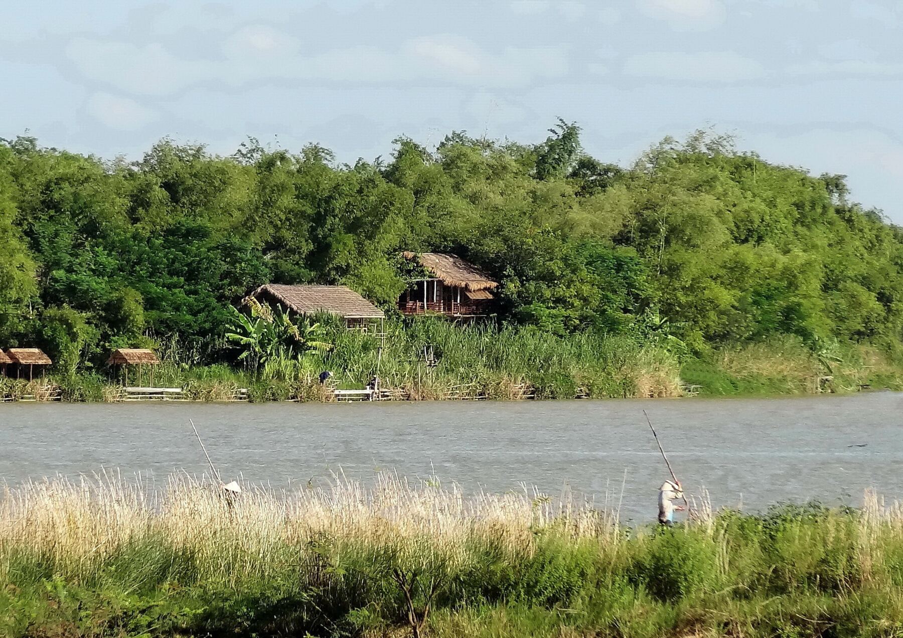 Regenerated riverbank with bamboo groves and thatched bungalows across the Thu Bồn river